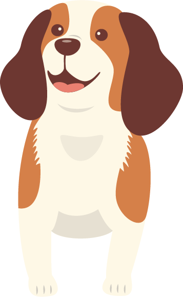 Dog checking results